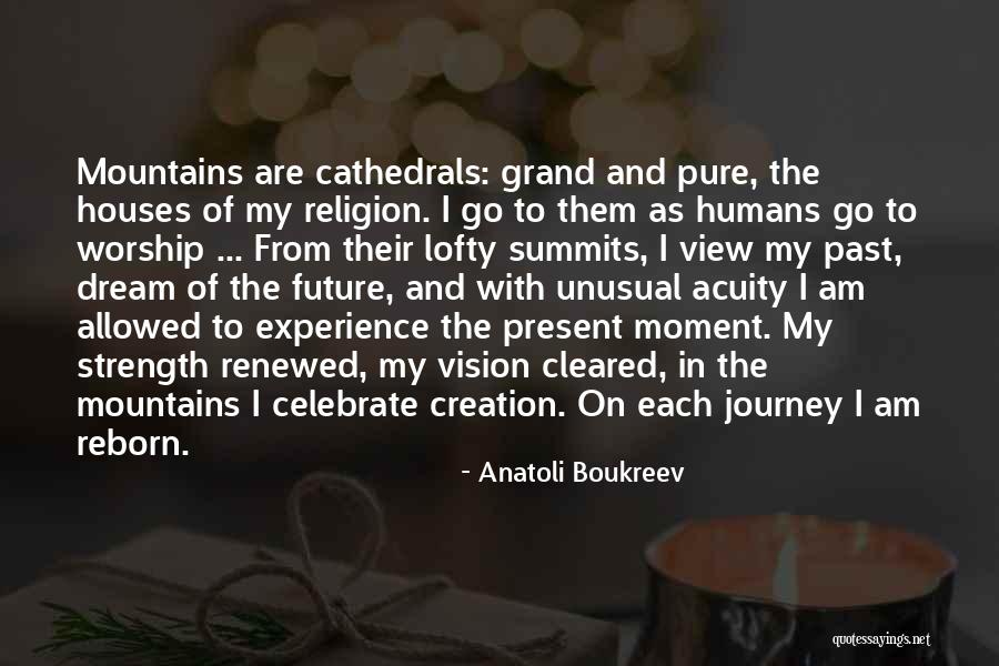 Dream And Vision Quotes By Anatoli Boukreev Dream And Vision Quotes By Anatoli Boukreev