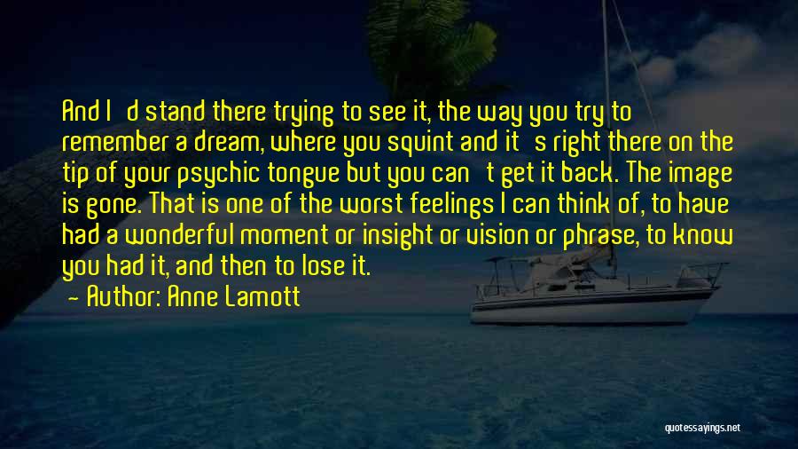 Dream And Vision Quotes By Anne Lamott