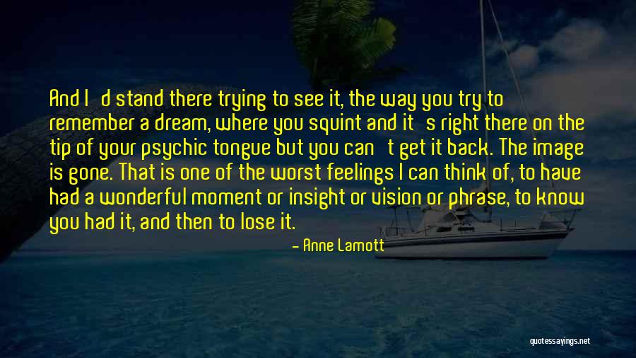 Dream And Vision Quotes By Anne Lamott