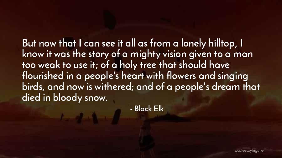Dream And Vision Quotes By Black Elk Dream And Vision Quotes By Black Elk