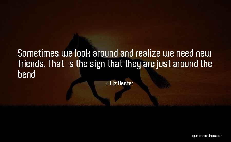 Dream And Vision Quotes By Liz Hester