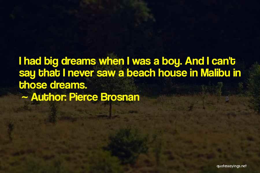 Dream Beach Quotes By Pierce Brosnan