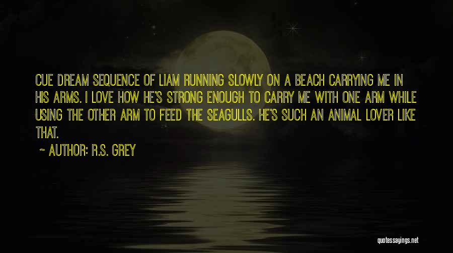 Dream Beach Quotes By R.S. Grey