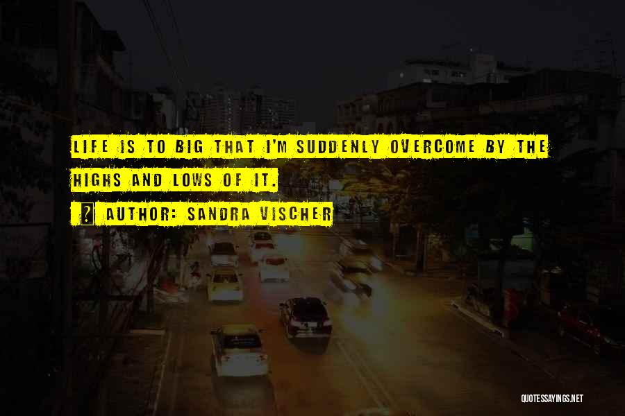 Dream Big Life Quotes By Sandra Vischer