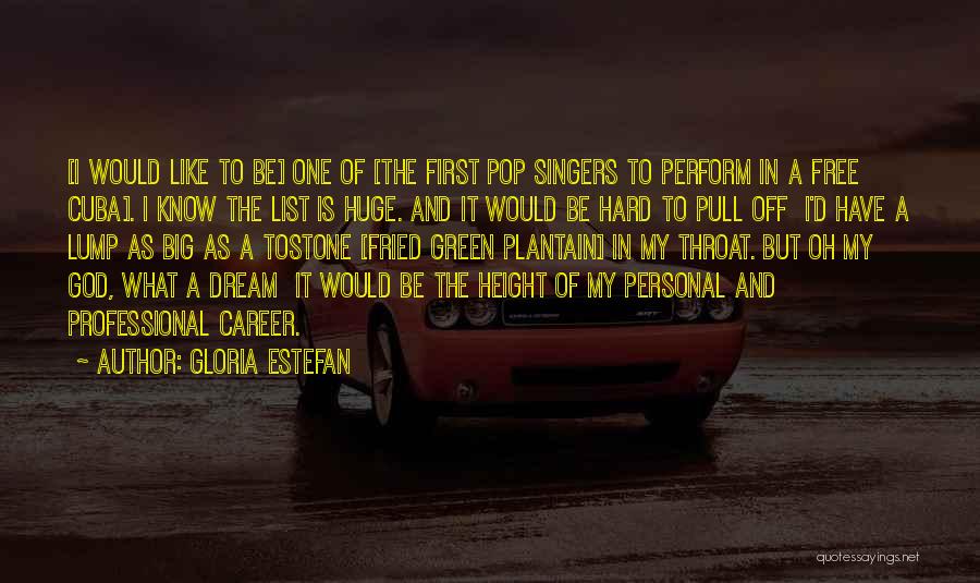 Dream Big Quotes By Gloria Estefan