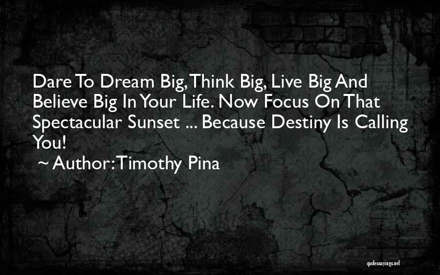 Dream Big Think Big Quotes By Timothy Pina