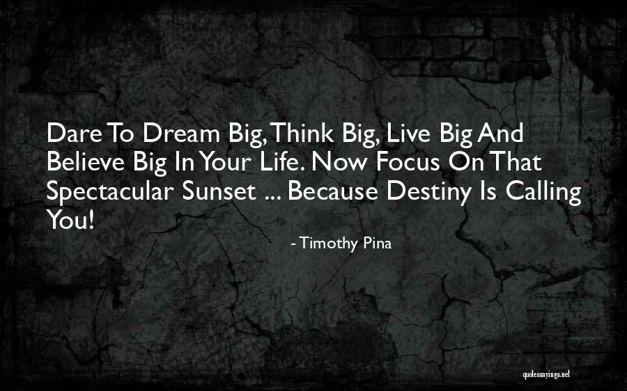 Dream Big Think Big Quotes By Timothy Pina