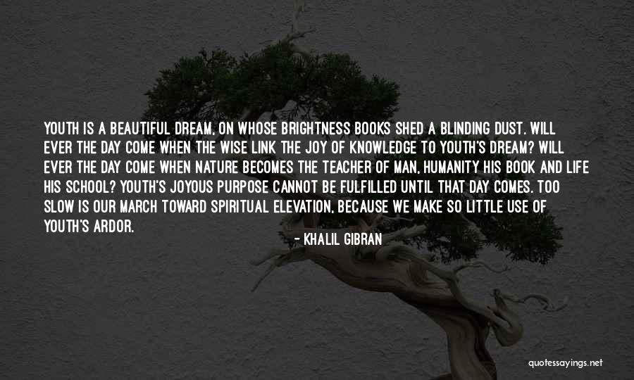 Dream Book Quotes By Khalil Gibran