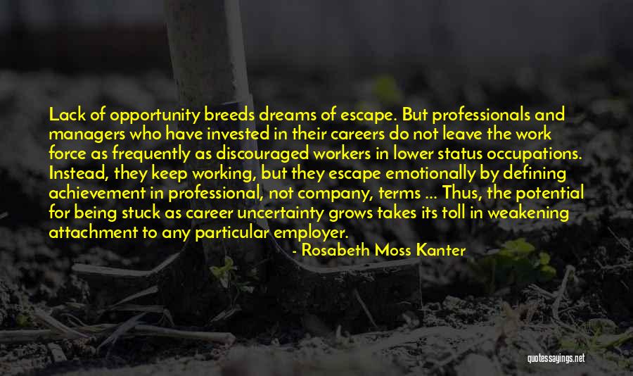 Dream Careers Quotes By Rosabeth Moss Kanter