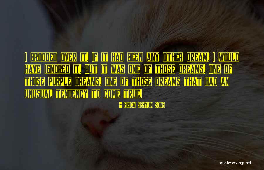 Dream Coming True Quotes By Erica Sehyun Song Dream Coming True Quotes By Erica Sehyun Song