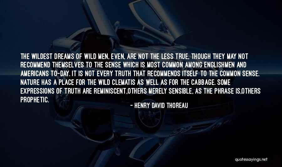 Dream Day Quotes By Henry David Thoreau