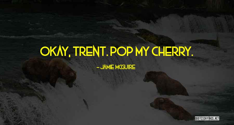 Dream Day Weddings Quotes By Jamie McGuire Dream Day Weddings Quotes By Jamie McGuire