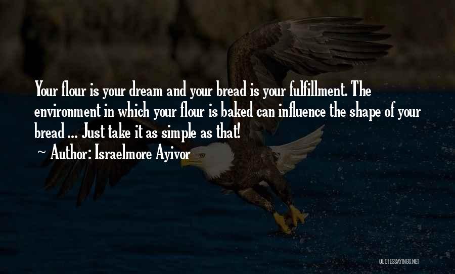 Dream Fulfillment Quotes By Israelmore Ayivor