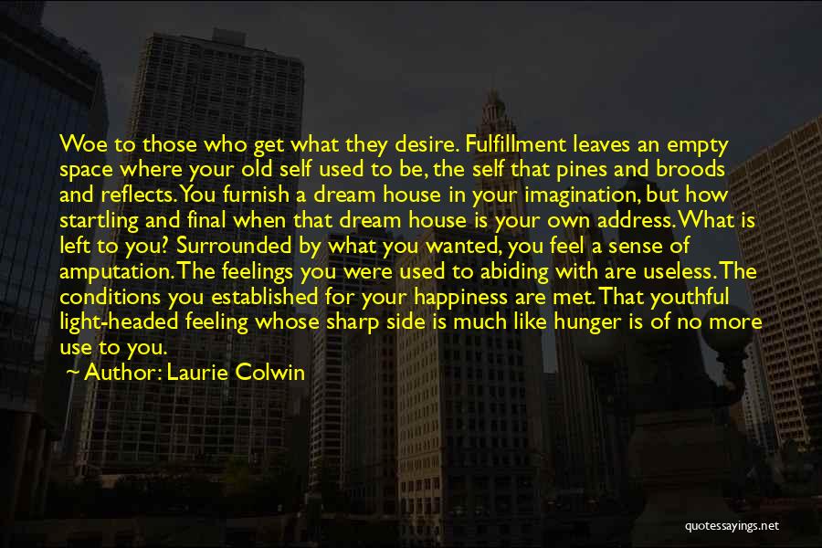 Dream Fulfillment Quotes By Laurie Colwin