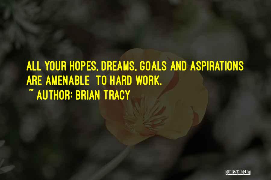 Dream Hard Work Quotes By Brian Tracy