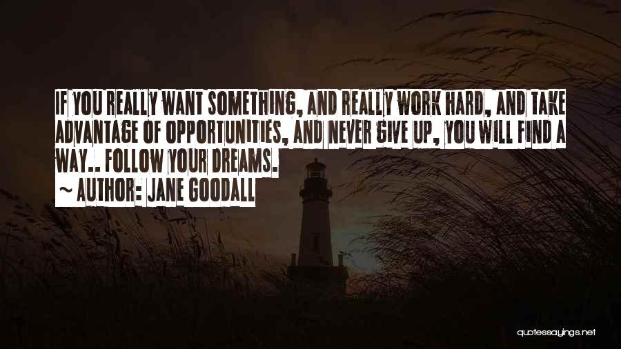 Dream Hard Work Quotes By Jane Goodall
