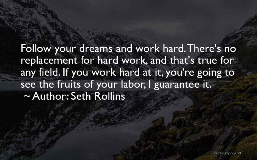 Dream Hard Work Quotes By Seth Rollins