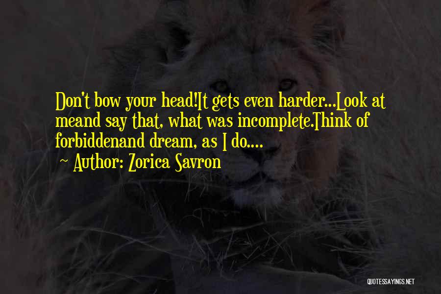Dream Harder Quotes By Zorica Savron