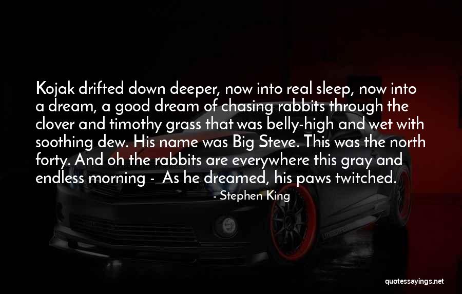 Dream High 2 Quotes By Stephen King Dream High 2 Quotes By Stephen King