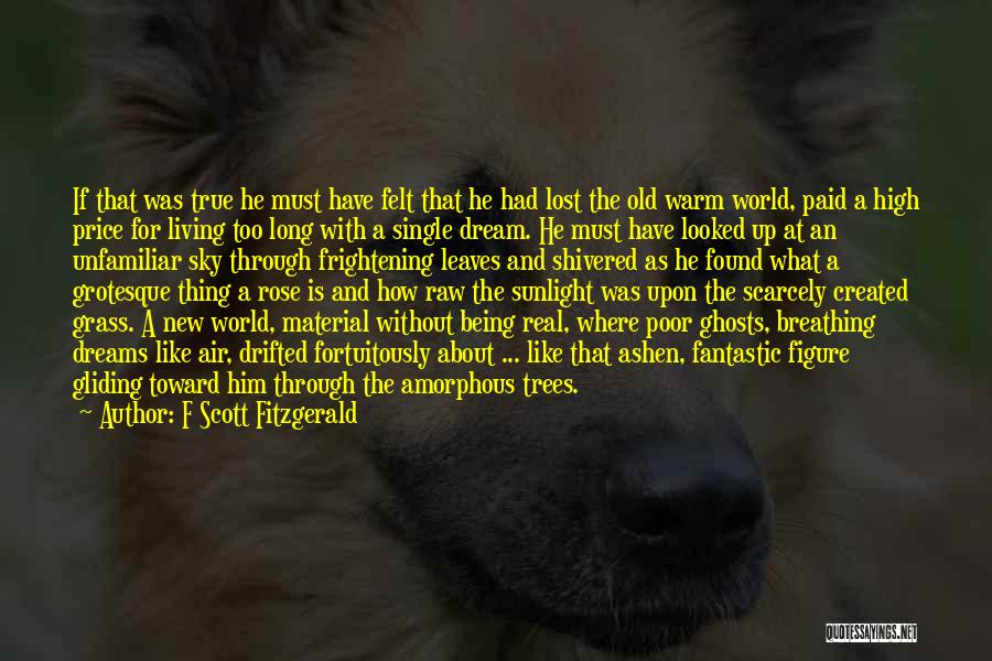 Dream High Best Quotes By F Scott Fitzgerald