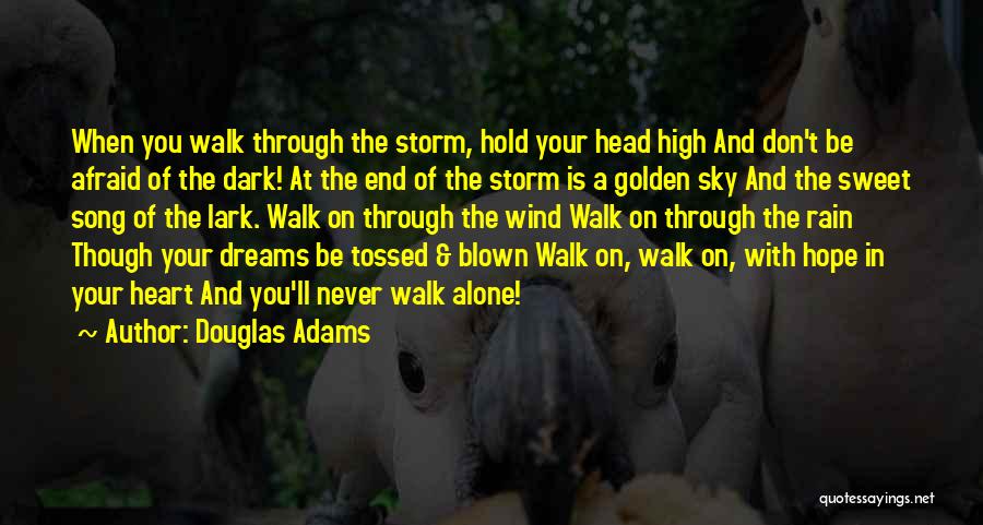 Dream High Quotes By Douglas Adams