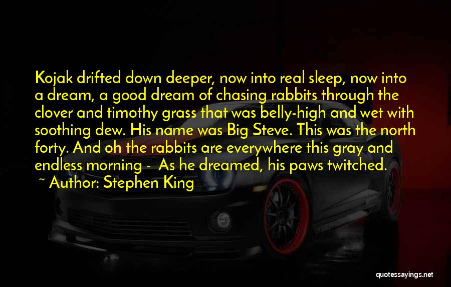 Dream High Quotes By Stephen King