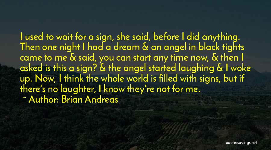 Dream In The Night Quotes By Brian Andreas
