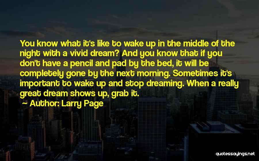 Dream In The Night Quotes By Larry Page