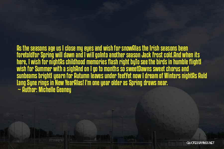 Dream In The Night Quotes By Michelle Geaney