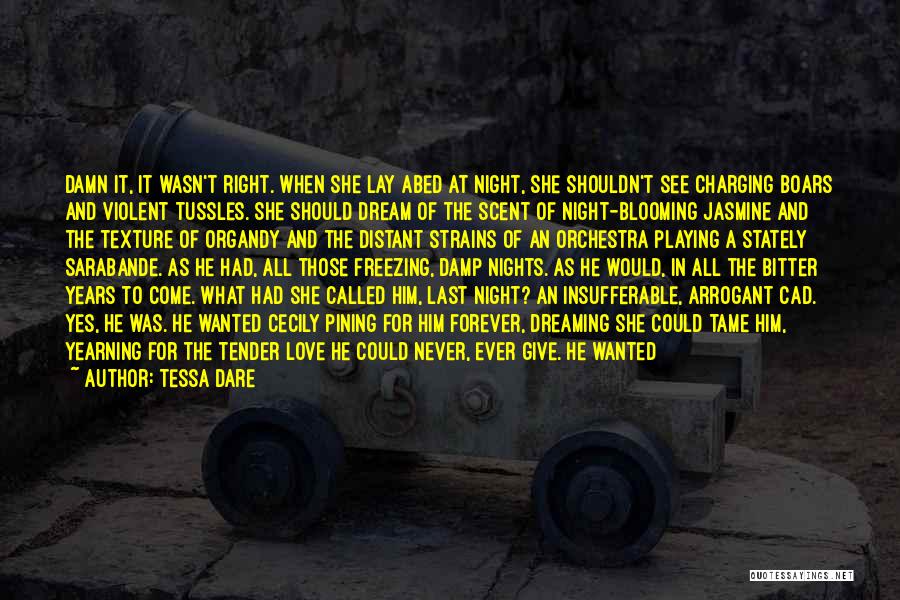 Dream In The Night Quotes By Tessa Dare