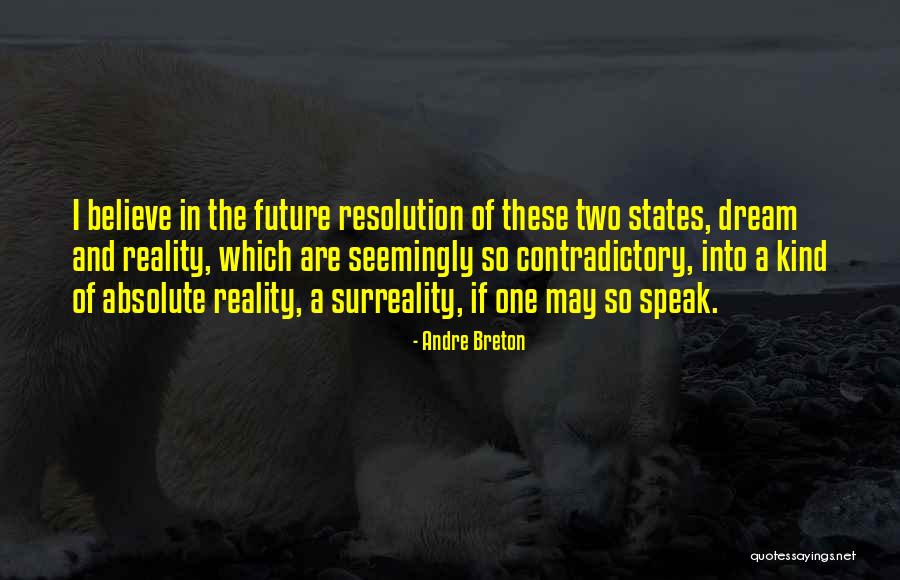 Dream Into A Reality Quotes By Andre Breton Dream Into A Reality Quotes By Andre Breton