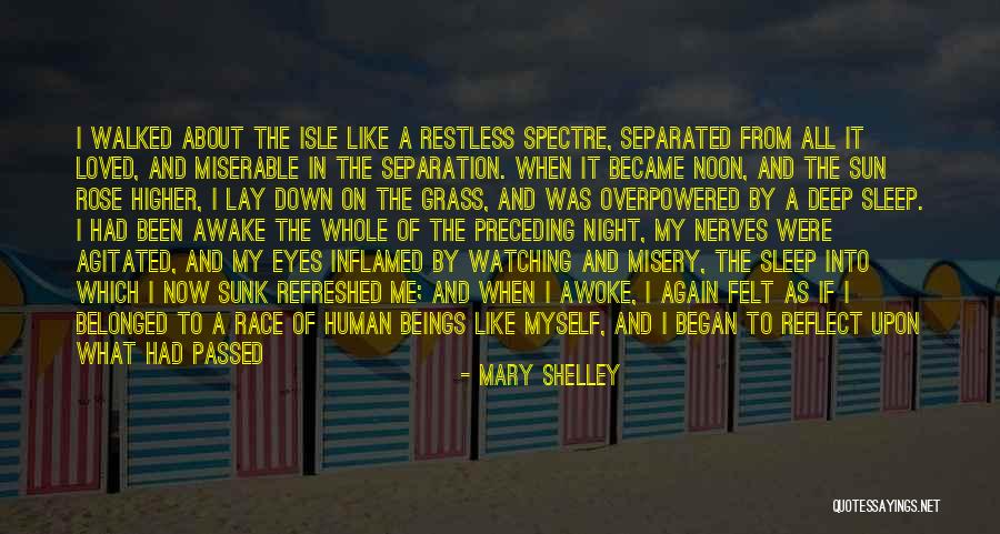 Dream Into A Reality Quotes By Mary Shelley Dream Into A Reality Quotes By Mary Shelley