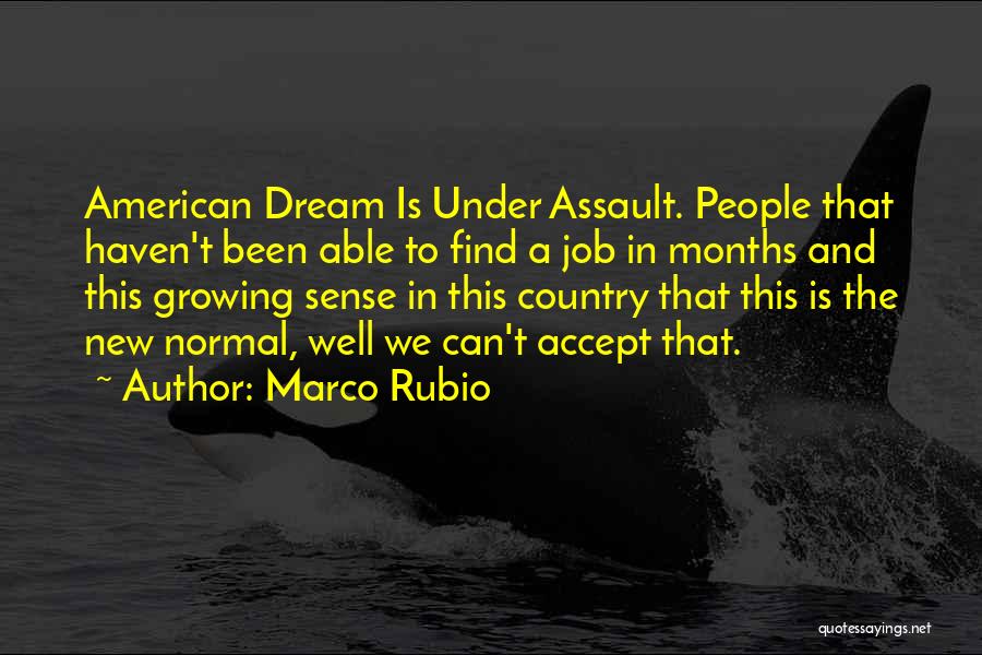 Dream Jobs Quotes By Marco Rubio