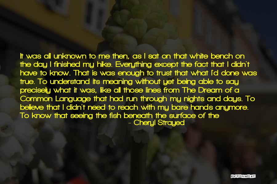 Dream Language Quotes By Cheryl Strayed Dream Language Quotes By Cheryl Strayed