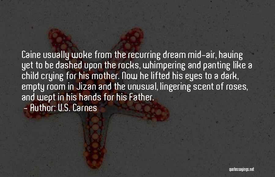Dream Like Child Quotes By V.S. Carnes