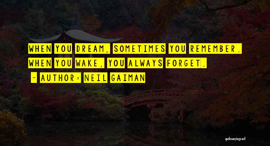 Dream Neil Gaiman Quotes By Neil Gaiman