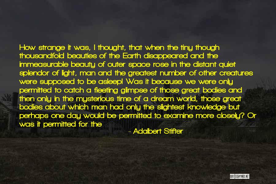 Dream Night Quotes By Adalbert Stifter