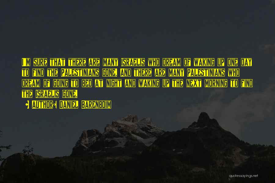 Dream Night Quotes By Daniel Barenboim