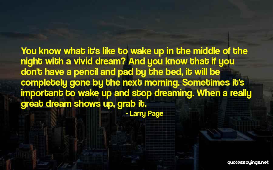 Dream Night Quotes By Larry Page