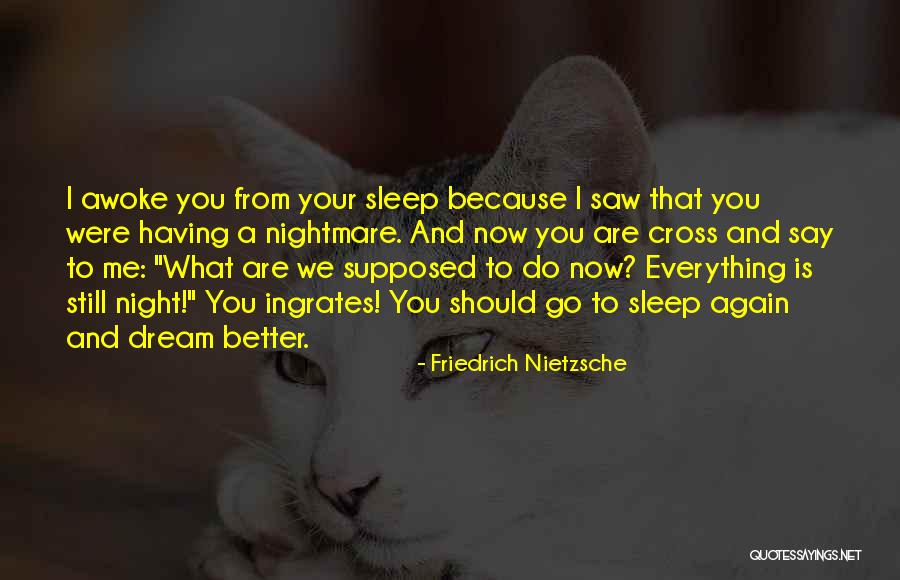 Dream Nightmare Quotes By Friedrich Nietzsche Dream Nightmare Quotes By Friedrich Nietzsche