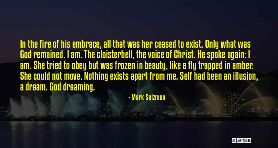 Dream Of Fire Quotes By Mark Salzman Dream Of Fire Quotes By Mark Salzman