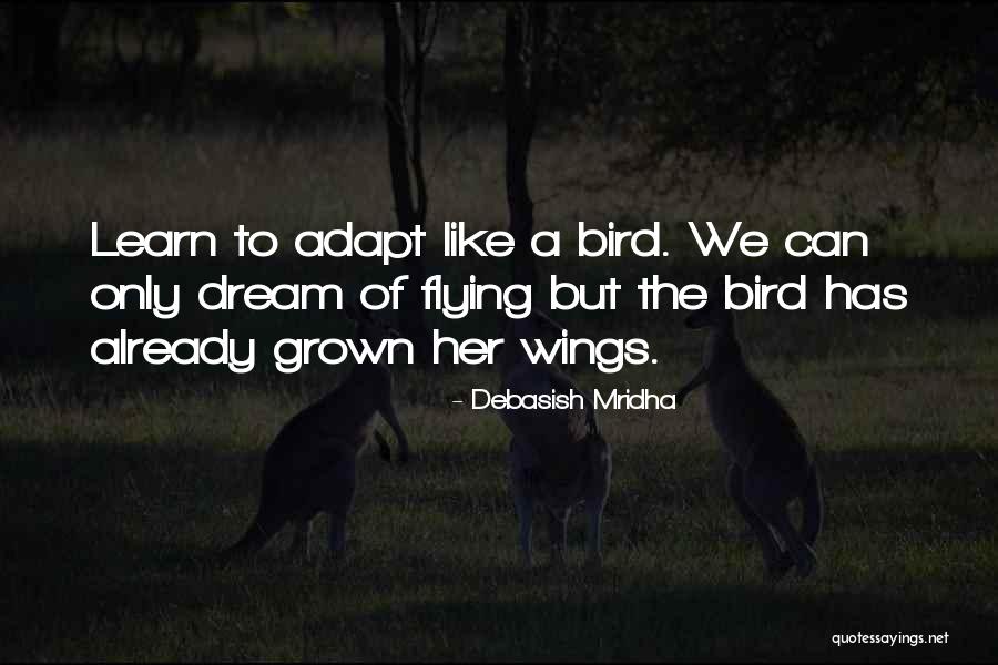 Dream Of Flying Quotes By Debasish Mridha Dream Of Flying Quotes By Debasish Mridha