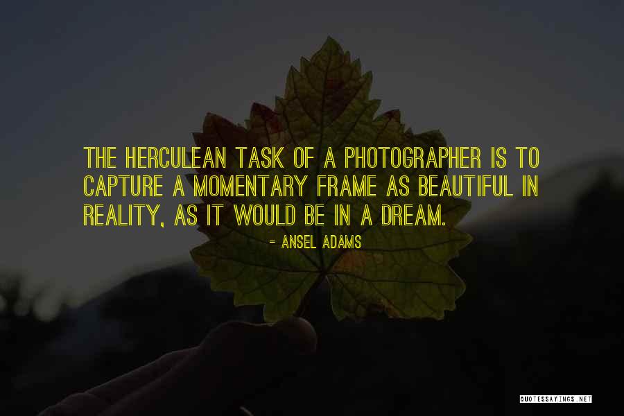 Dream Reality Quotes By Ansel Adams Dream Reality Quotes By Ansel Adams