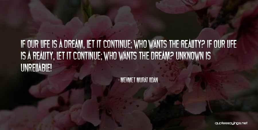 Dream Reality Quotes By Mehmet Murat Ildan Dream Reality Quotes By Mehmet Murat Ildan