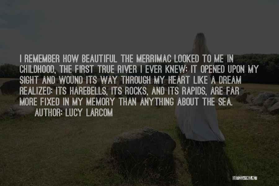 Dream Realized Quotes By Lucy Larcom