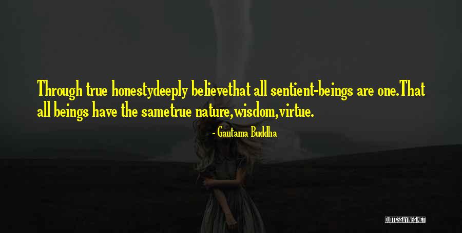 Dream Sans Quotes By Gautama Buddha Dream Sans Quotes By Gautama Buddha