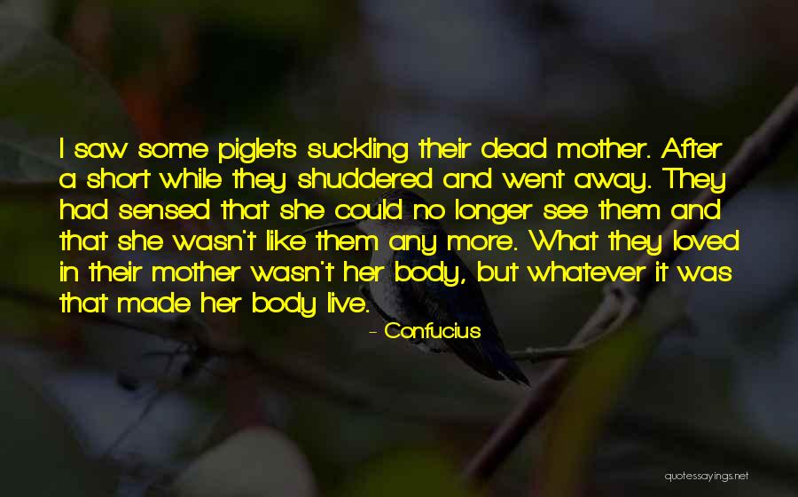 Dream Short Quotes By Confucius Dream Short Quotes By Confucius