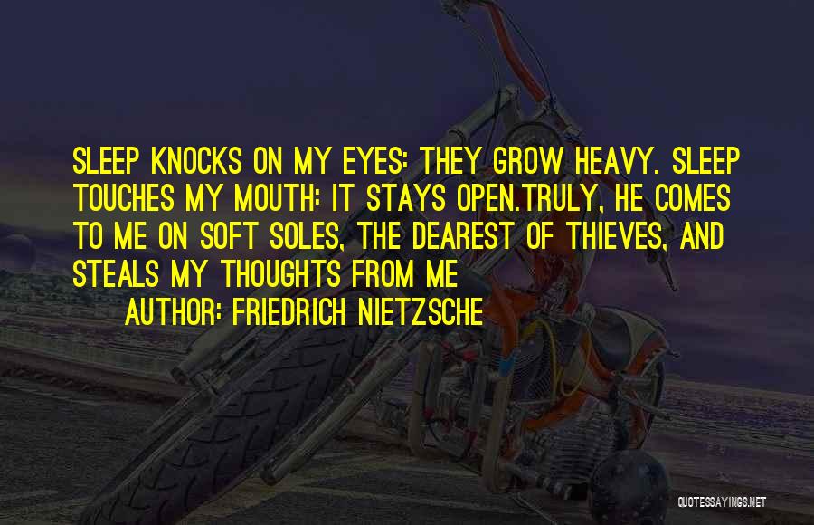 Dream Thieves Quotes By Friedrich Nietzsche