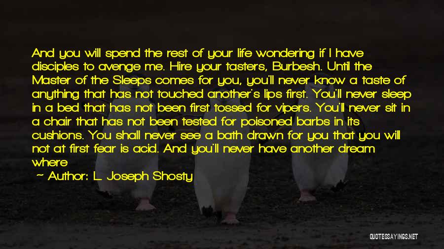 Dream Thieves Quotes By L. Joseph Shosty