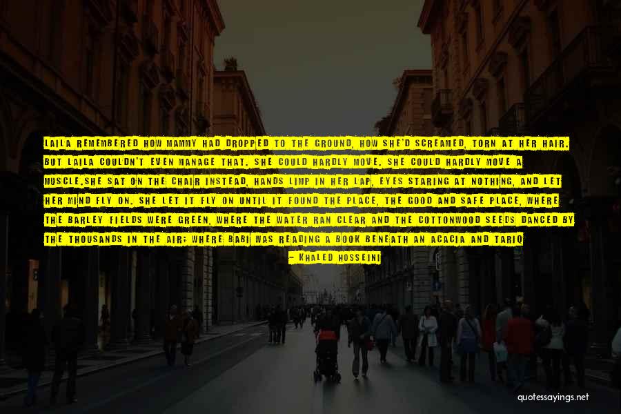 Dream To Fly Quotes By Khaled Hosseini Dream To Fly Quotes By Khaled Hosseini